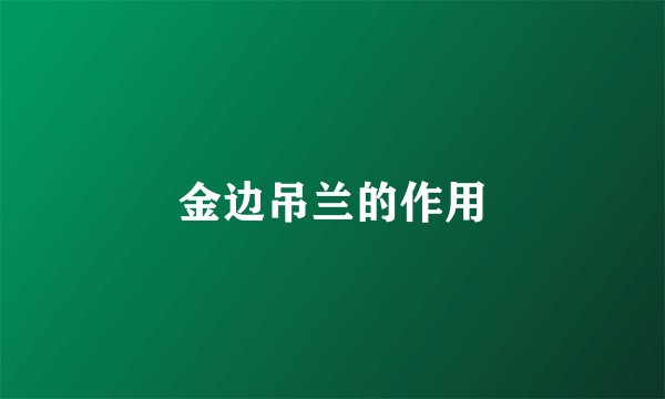 金边吊兰的作用