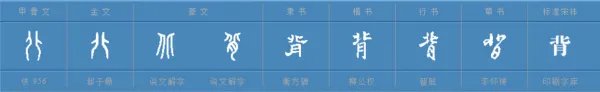 背组词有哪些