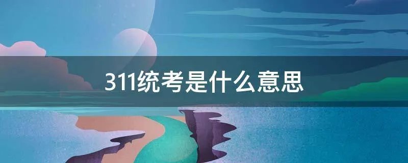 311统考是什么意思