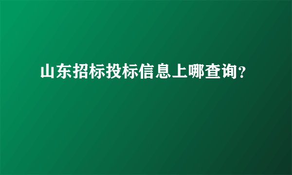 山东招标投标信息上哪查询？