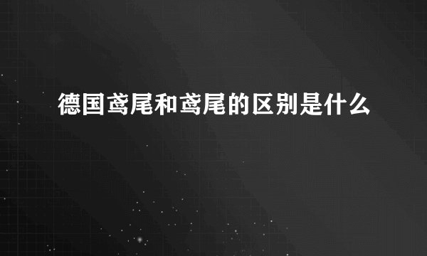 德国鸢尾和鸢尾的区别是什么