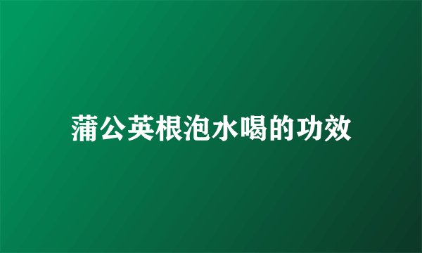 蒲公英根泡水喝的功效
