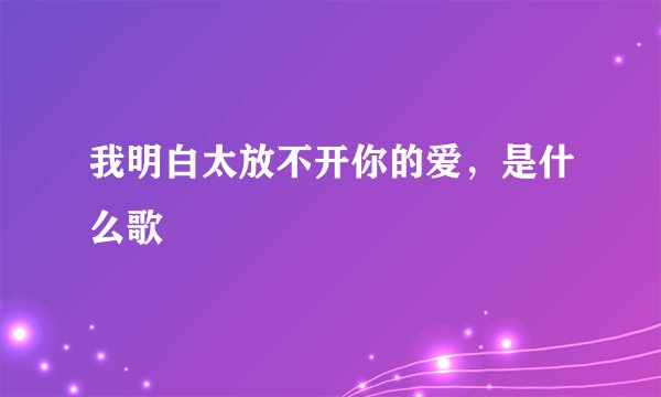 我明白太放不开你的爱，是什么歌