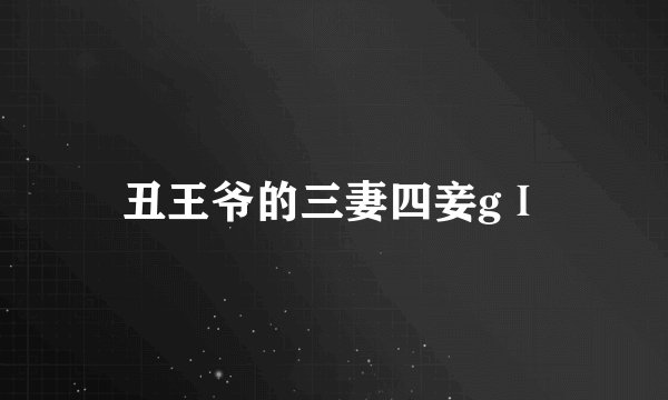 丑王爷的三妻四妾gⅠ