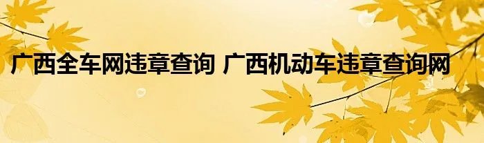 广西全车网违章查询 广西机动车违章查询网