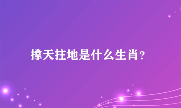撑天拄地是什么生肖？