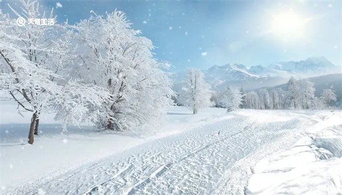 雪的形成