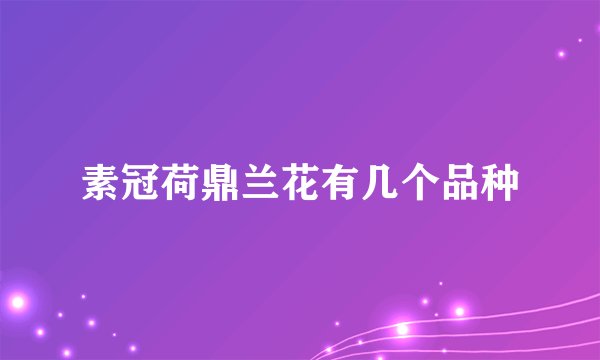 素冠荷鼎兰花有几个品种