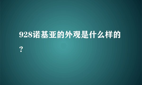 928诺基亚的外观是什么样的？