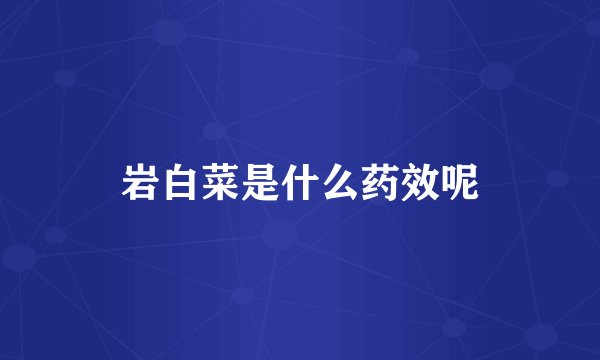 岩白菜是什么药效呢