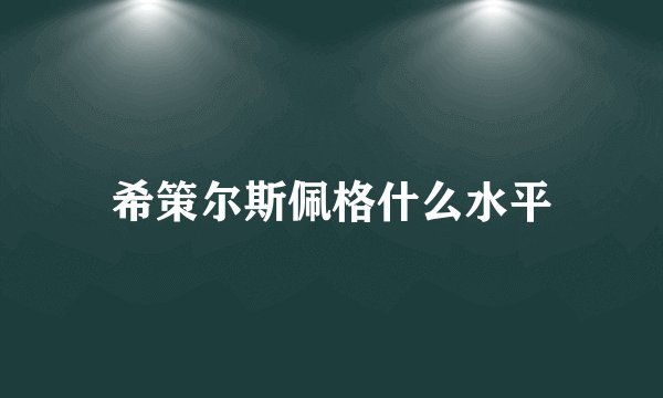 希策尔斯佩格什么水平
