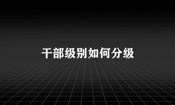 干部级别如何分级