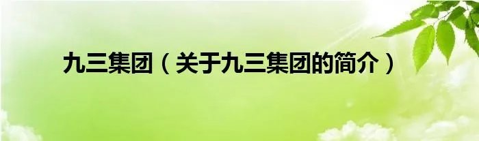 九三集团（关于九三集团的简介）