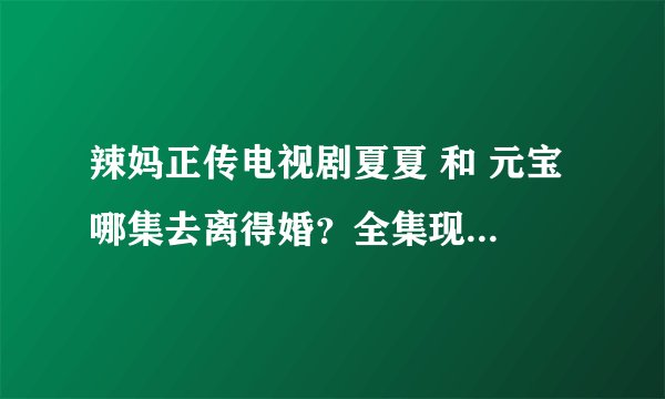 辣妈正传电视剧夏夏 和 元宝 哪集去离得婚？全集现在有能看么？