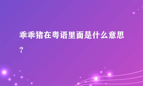 乖乖猪在粤语里面是什么意思？