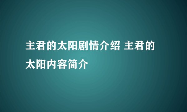 主君的太阳剧情介绍 主君的太阳内容简介