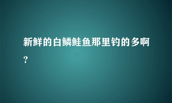 新鲜的白鳞鲑鱼那里钓的多啊？