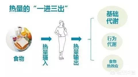 年纪轻轻中度脂肪肝,医生让减肥,你们一个月减了多少?