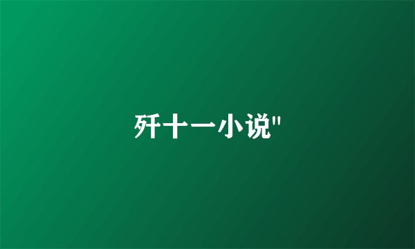 歼十一小说