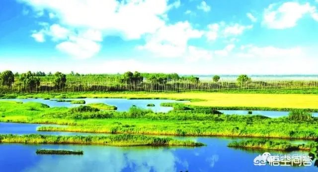 仙桃的旧名