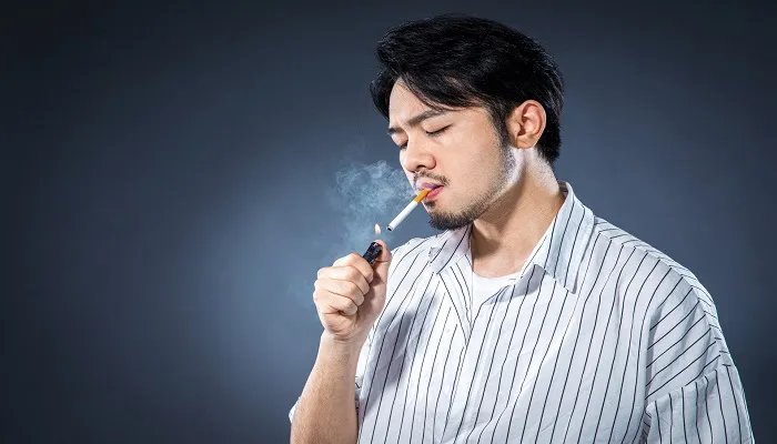 大苏和小苏有什么区别 大苏和小苏的区别