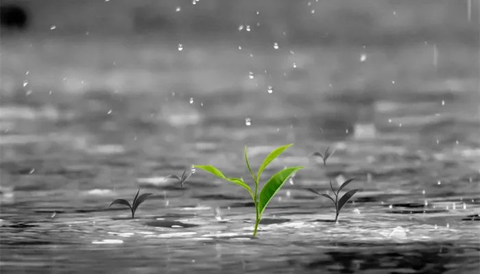 天气预报小雨的降雨量是多少 小雨的降雨量是多少