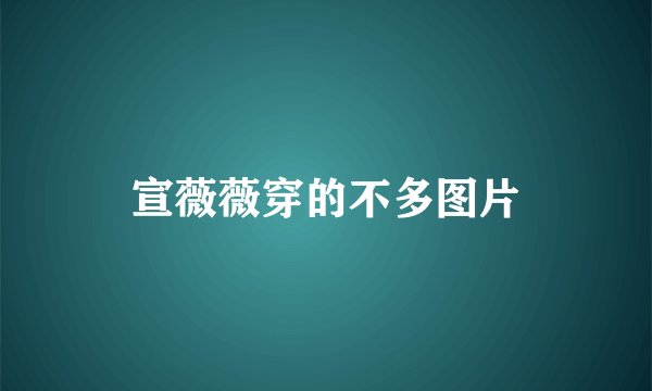 宣薇薇穿的不多图片