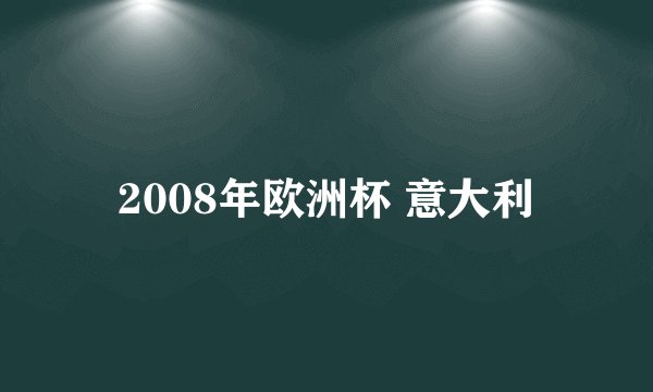 2008年欧洲杯 意大利