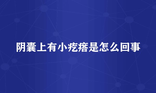阴囊上有小疙瘩是怎么回事