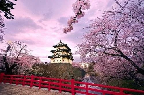 5月赴日旅游仅1700人,日本游客为何变少了?