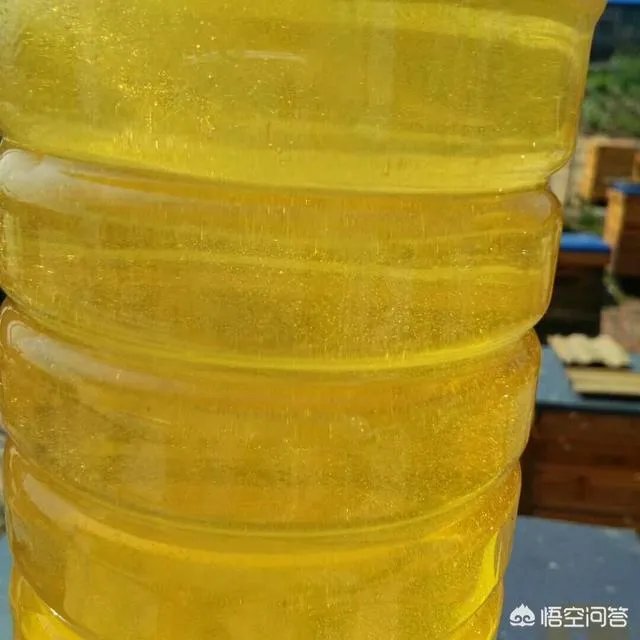 农村人自己养的蜂蜜怎么样?贵吗?