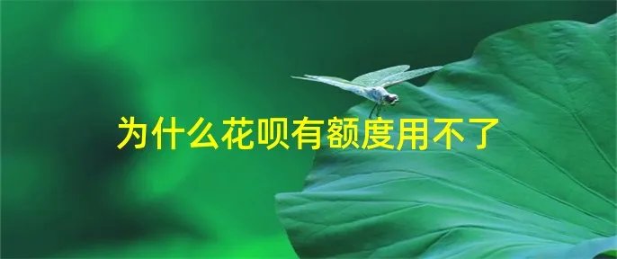 为什么花呗有额度用不了