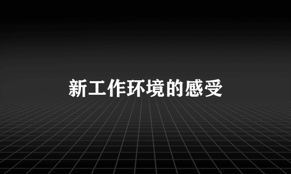 新工作环境的感受