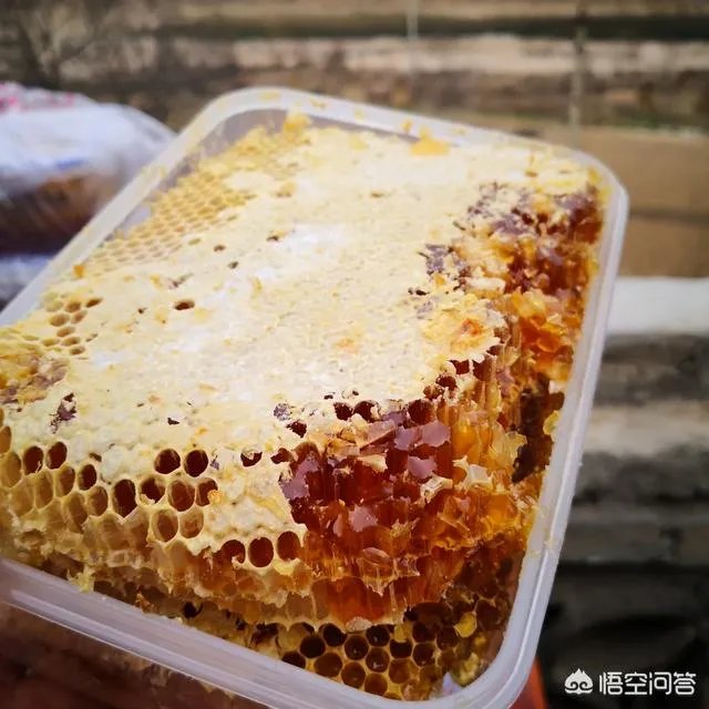 农村人自己养的蜂蜜怎么样?贵吗?