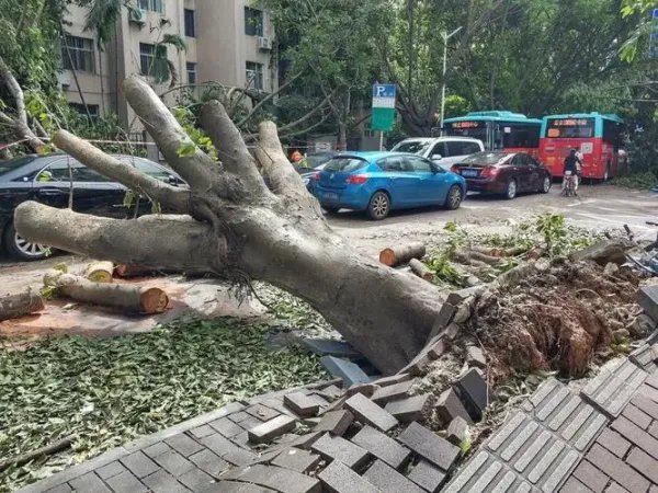 据报道:第9号台风“马鞍”生成,它将会途径哪些地方?