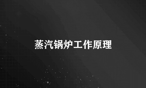 蒸汽锅炉工作原理