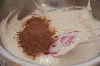 【双色天使】