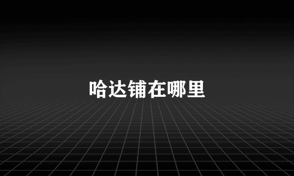 哈达铺在哪里