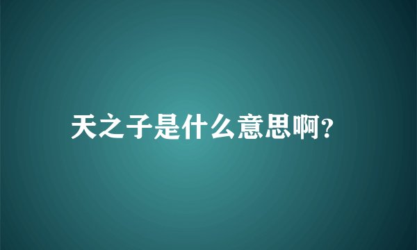 天之子是什么意思啊？