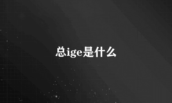 总ige是什么
