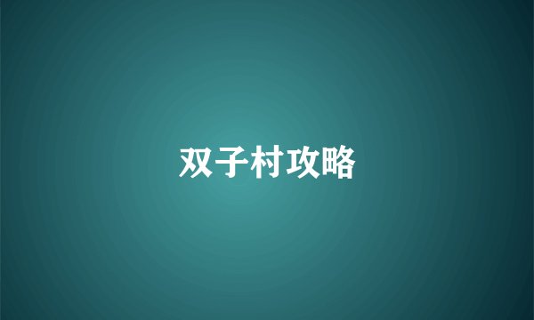 双子村攻略