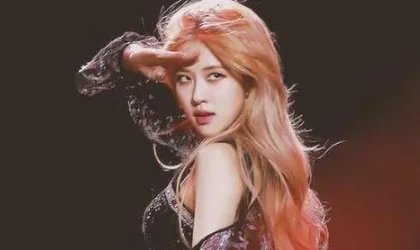 2020年lisa和rose怎么了？
