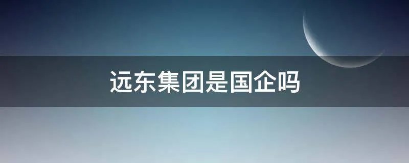 远东集团是国企吗