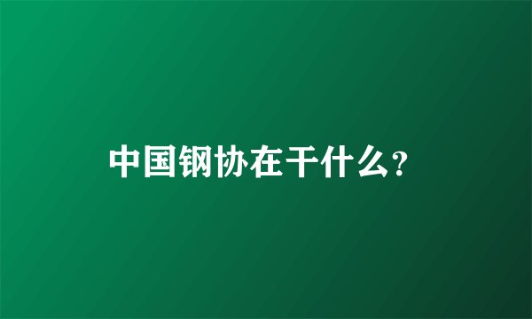中国钢协在干什么?