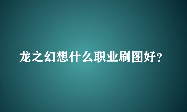 龙之幻想什么职业刷图好？