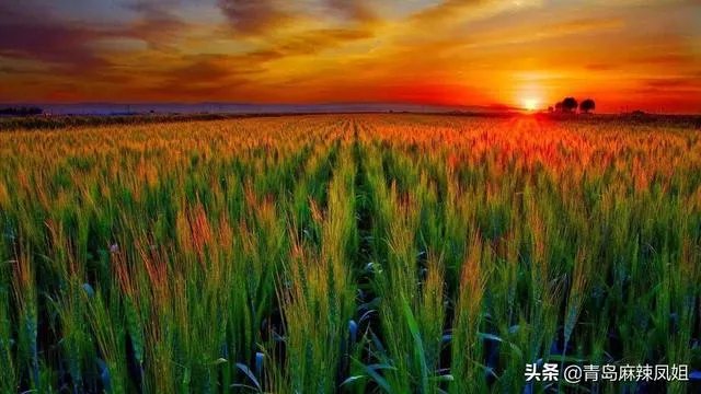 2月底之前,中小学生能不能到校学习?