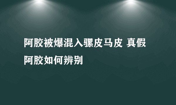 阿胶被爆混入骡皮马皮 真假阿胶如何辨别