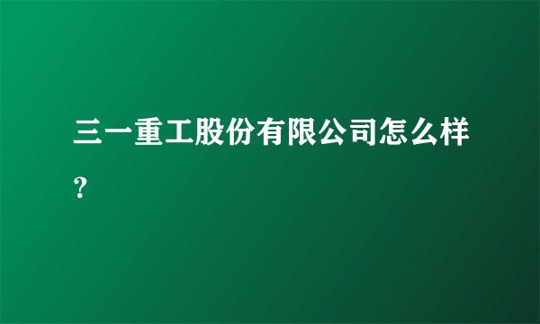 三一重工股份有限公司怎么样？