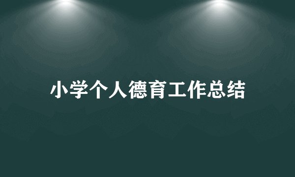 小学个人德育工作总结