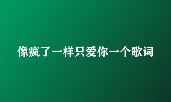 像疯了一样只爱你一个歌词